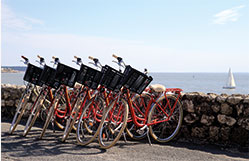 agence Orgonne organisation événementielle d'entreprise : Challenge vélo